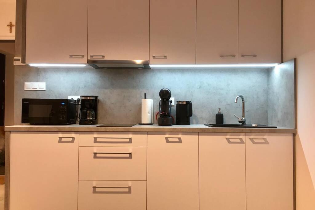 Apartament Fibra Brownie Rybnik  Buitenkant foto
